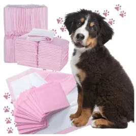 podklady-higieniczne-maty-dla-psa-psow-nauka-sikania-chlonne-60x40-cm-100sz