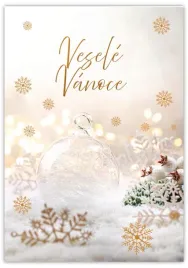 karnet-wesolych-swiat-vesele-vanoce-cestina