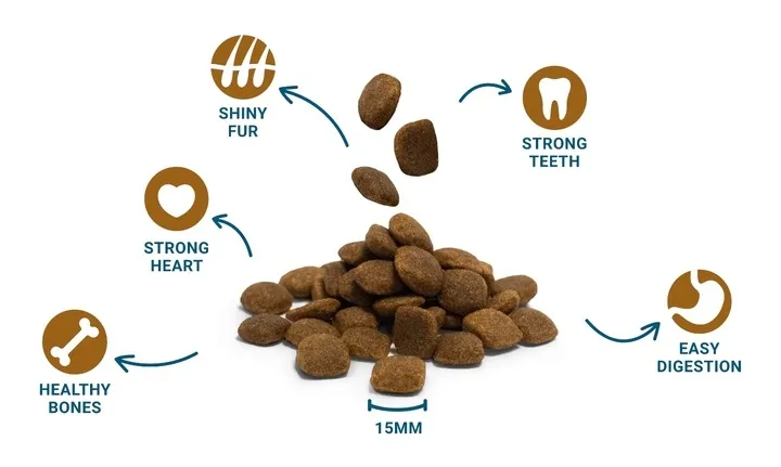 divinus-performance-karma-sucha-dla-psa-owczarek-labrador-witaminy-20kg
