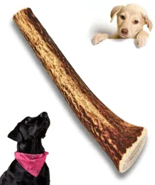 gryzak-naturalny-poroze-jelenia-dla-psa-l-hard-15-17-cm