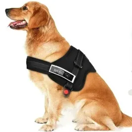 szelki-dla-psa-labradora-owczarka-mocne-rozmiar-xl