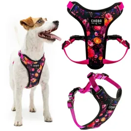 szelki-spacerowe-comfort-guard-dla-malego-psa-chaba-marigold-rozmiar-m