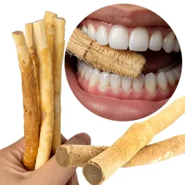 naturalna-szczoteczka-do-zebow-miswak-patyczek-do-czyszczenia-zebow-siwak