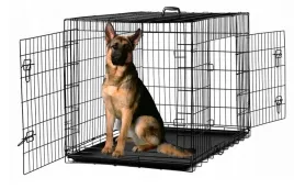 klatka-kennelowa-kojec-transporter-dla-psa-psow-zwierzat-121x76x82cm-xxxl