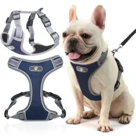 szelki-dla-malego-psa-bezuciskowe-spacerowe-mocne-odblaski-regulacja-r-m