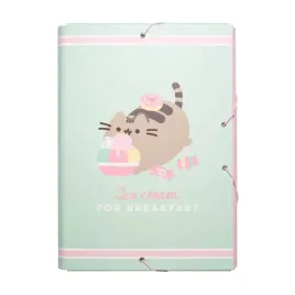 pusheen-teczka-do-przechowywania-dokumentow-z-kolekcji-foodie