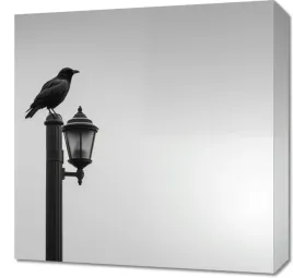 obraz-50x50cm-samotny-postoj-kruka