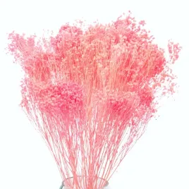 broom-bloom-rozowy-suszone-kwiaty-suszki