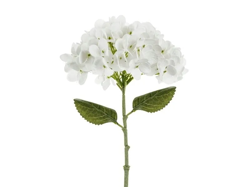 hortensja-biala-35cm