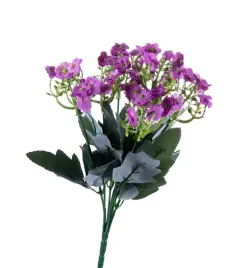 kalanchoe-purpurowy-bukiet