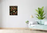 obraz-50x60cm-ogrod-kaktusow-stan-nowy