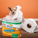 papier-toaletowy-foxy-mega-zapach-bezzapachowy