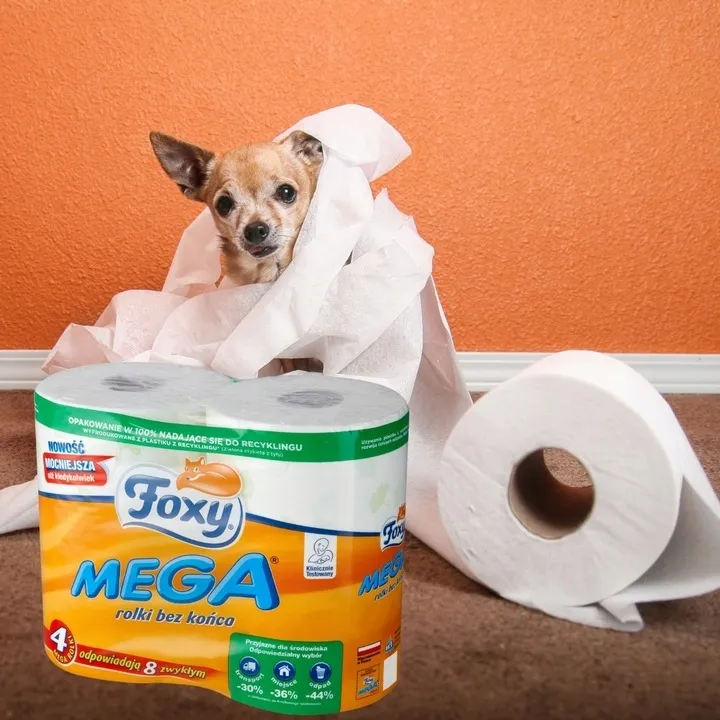 papier-toaletowy-foxy-mega-stan-nowy
