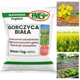 nasiona-na-poplon-miododajna-gorczyca-biala-poplonowa-1kg-lakowa-siewna