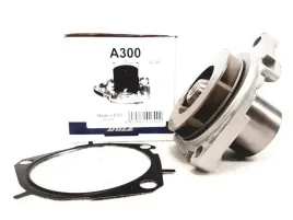 dolz-pompa-wody-a300