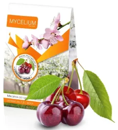 mikoryza-czeresnie-i-wisnie-mycelium