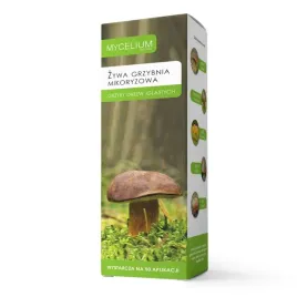 zywa-grzybnia-iglaste-borowik-maslak-rydz-kurka