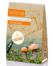 kozlarze-certyfikowana-grzybnia-grzyby-lesne-mycelium