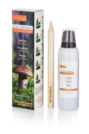 mikoryza-jadalne-grzyby-lesne-borowik-podgrzybek-maslak