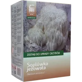 soplowka-jezowata-zestaw-do-uprawy-grzybow