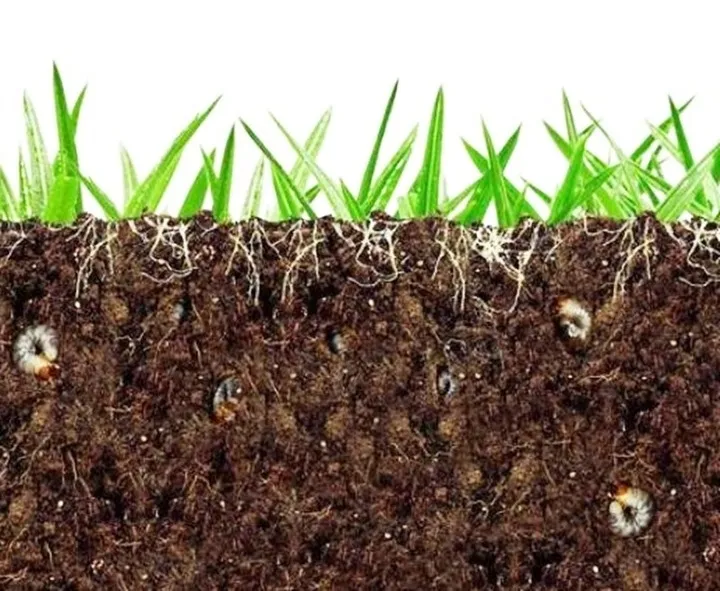 agrecol-grammini-limit-10-g-394-stan-nowy-stan-opakowania-oryginalne