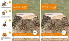 zywa-grzybnia-do-rozkladu-pni-drzew-i-kompostowania