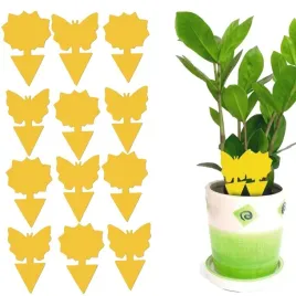 12x-zolty-lep-do-doniczek-motyl-na-ziemiorki-mszyce-muszki-owocowki-owady