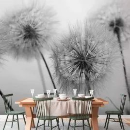 fototapeta-350x256-wodoodporna-pora-na-dmuchawce-drugi-wariant