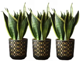 zestaw-3-doniczek-aztek-sr-195cm-czarny-zloty-lamela