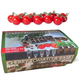 zestaw-do-uprawy-roslin-pomidory-bazylia-cherry-tomato