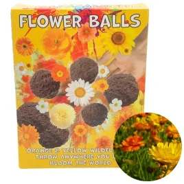 kule-z-nasionami-zolte-biale-kwiaty-polne-na-ogrod-sadzonki