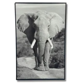 plotno-z-nadrukiem-slon-obraz-575-x-375-cm-duze