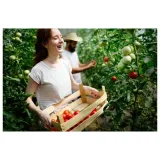 tunel-foliowy-ogrodowy-6x3-szklarnia-3x6-18m2-zielony-foliak-uv4-gratis-kod-producenta-002956