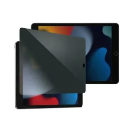 panzerglass-r-privacy-screen-protector-ipad-10-2-2019-2020-2021-prze