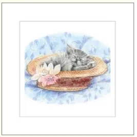 karnet-16x16cm-koperta-kot-rysowany