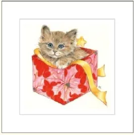karnet-16x16cm-koperta-kot-rysowany