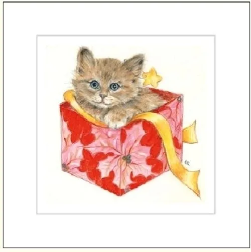 karnet-16x16cm-koperta-kot-rysowany