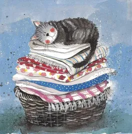 karnet-ac329-kot-na-koszu-z-praniem