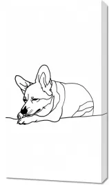 obraz-50x90cm-spiacy-corgacz