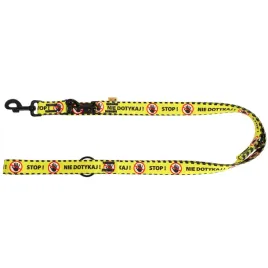dingo-smycz-przepinana-nie-dotykaj-dla-psa-30x220-cm