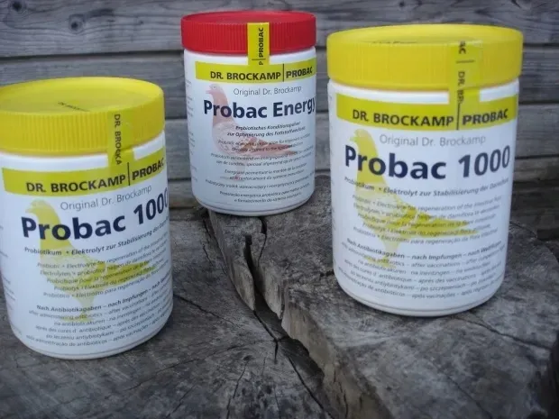 probac-1000-brockamp-500-g