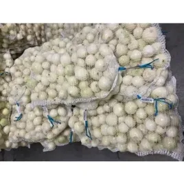 cebula-bez-luski-10kg