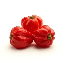 papryka-habanero-ostra-100g