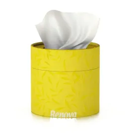 chusteczki-higieniczne-renova-tuba-zolta-40szt