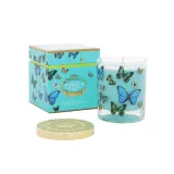 swieca-portus-cale-butterflies