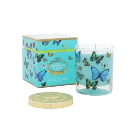 swieca-portus-cale-butterflies