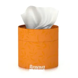 chusteczki-higieniczne-renova-tuba-pomaranczowa-40szt