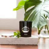 swieca-portus-cale-black-edition-stan-nowy