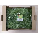 rucola-niemyta-500g-eisberg