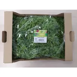 rucola-niemyta-500g-eisberg